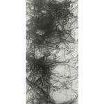 Hidden Life II, 2010, 52 x 20 inches, 133 x 51 cm, graphite on rives lightweight