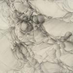 Study for Natural Details I, 2010, 26 x 20 inches, 66 x 51 cm, graphite on rives lightweight