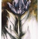 Tulip Series VI, 1987, 30 x 24 inches, soft pastel on arches