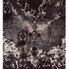 Lover's Lace Fantasy, 1991, 23 x 17 inches, intaglio