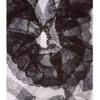 Lace, 1988, 17.5 x 11.5 inches, intaglio