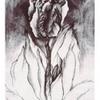 Tulip II, 1985, 21.5 x 16 inches, intaglio